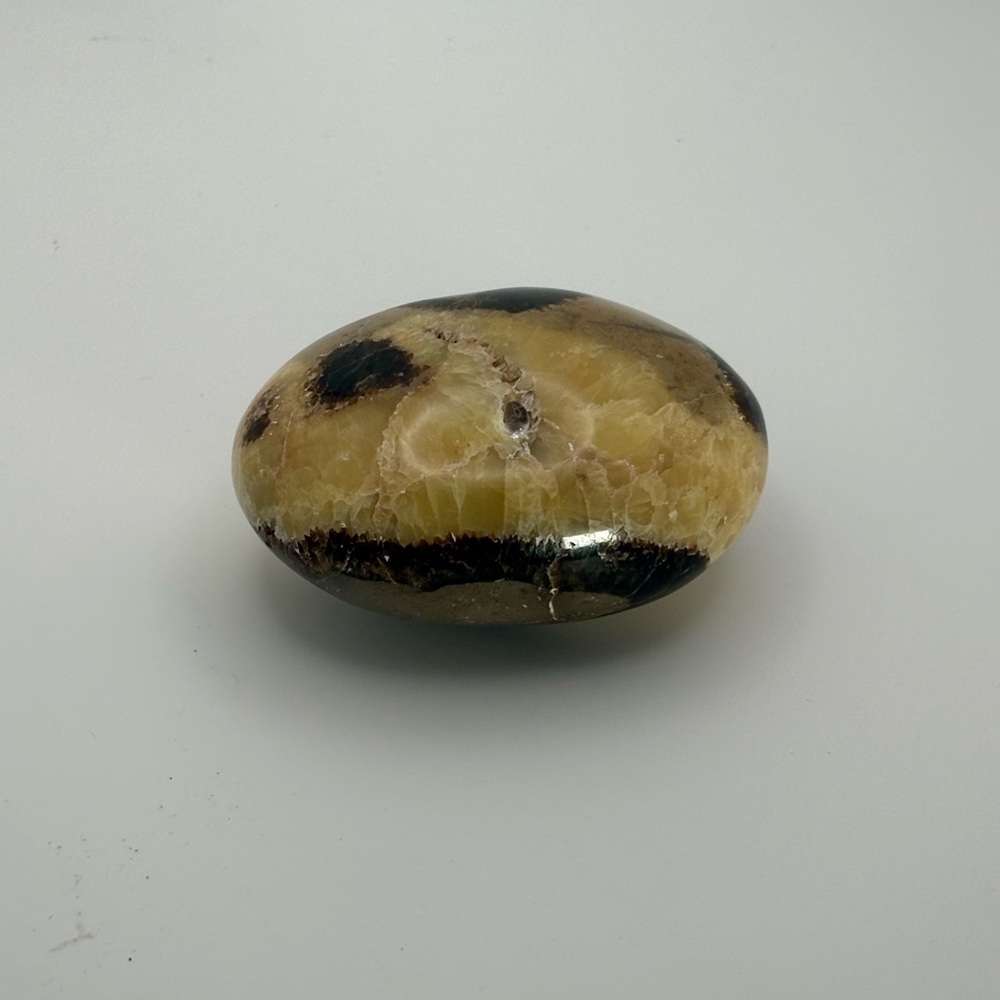 Septarian Palm Stone 🐉 Dragon Stone Crystal